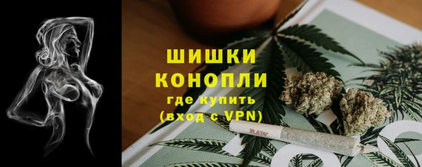 гидропоника Кирсанов