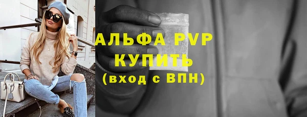 твердый Чекалин