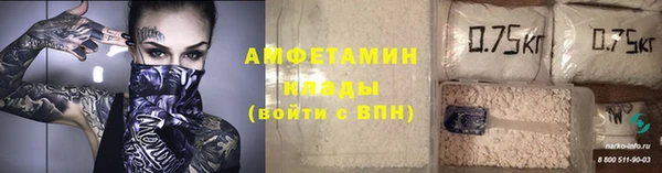твердый Чекалин