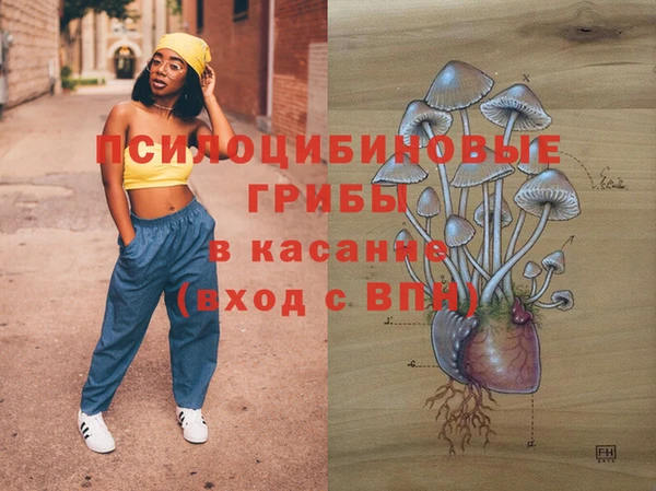 твердый Чекалин