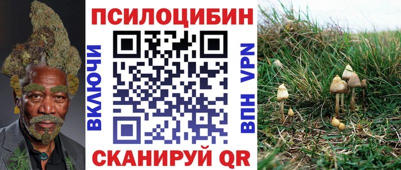 Псилоцибиновые грибы MAGIC MUSHROOMS Боровичи