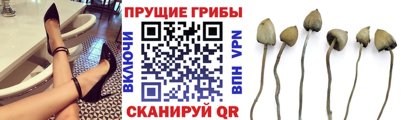 Галлюциногенные грибы MAGIC MUSHROOMS Боровичи