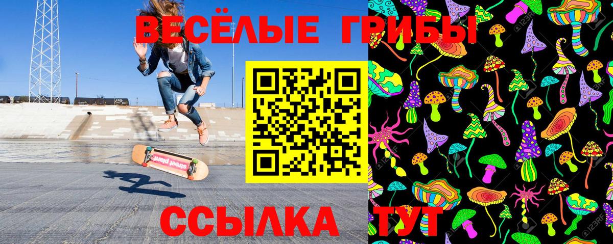 Галлюциногенные грибы MAGIC MUSHROOMS Боровичи