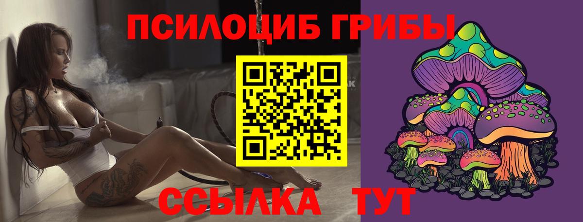 Псилоцибиновые грибы прущие грибы  Вход с VPN  Боровичи 